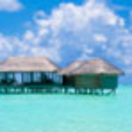 El Rincon de Rosita Centro